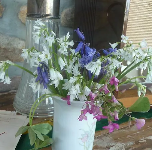 La Maison Des Musiciens Bed & Breakfast Digosville